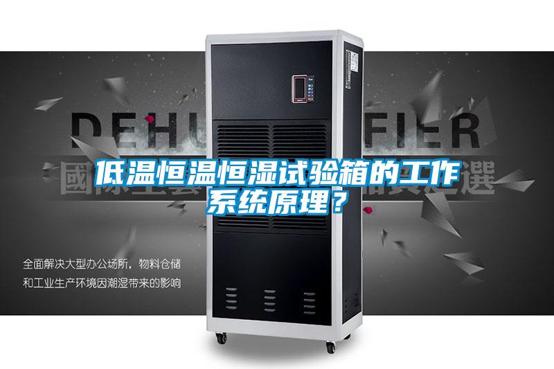 低溫恒溫恒濕試驗(yàn)箱的工作系統(tǒng)原理？