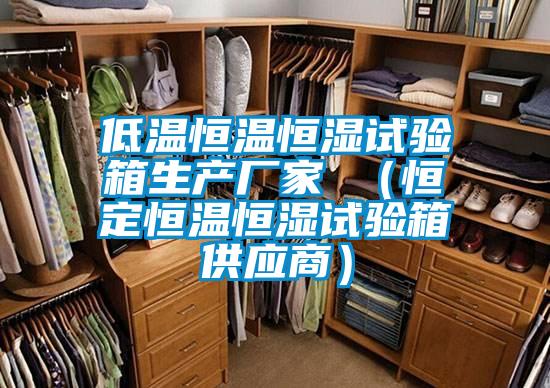 低溫恒溫恒濕試驗箱生產(chǎn)廠家 （恒定恒溫恒濕試驗箱供應商）