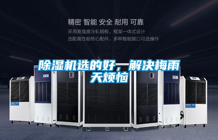 除濕機選的好，解決梅雨天煩惱
