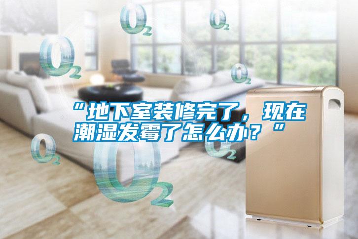 “地下室裝修完了，現在潮濕發霉了怎么辦？”