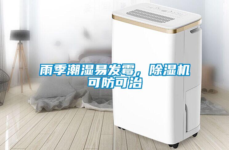 雨季潮濕易發霉，除濕機可防可治