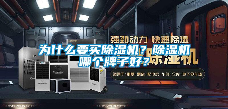 為什么要買除濕機？除濕機哪個牌子好？