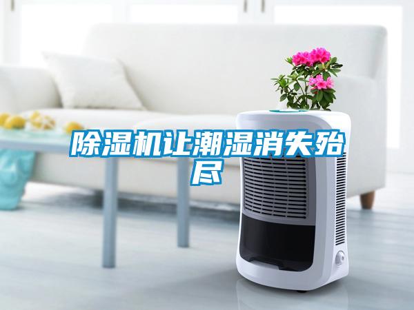除濕機(jī)讓潮濕消失殆盡