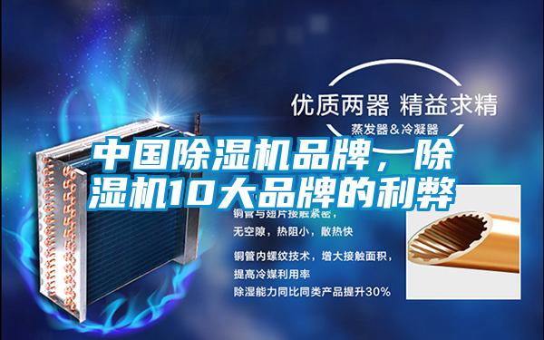 中國除濕機品牌，除濕機10大品牌的利弊