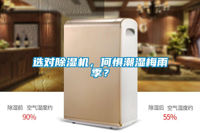 選對除濕機，何懼潮濕梅雨季？