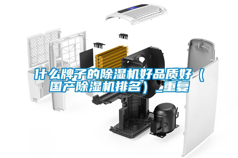 什么牌子的除濕機好品質(zhì)好（國產(chǎn)除濕機排名）_重復(fù)