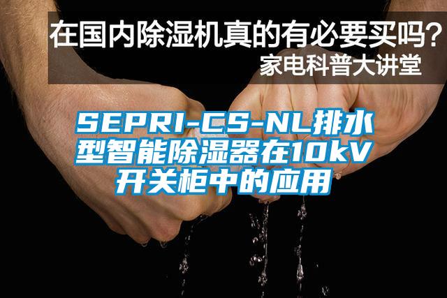 SEPRI-CS-NL排水型智能除濕器在10kV開關(guān)柜中的應用