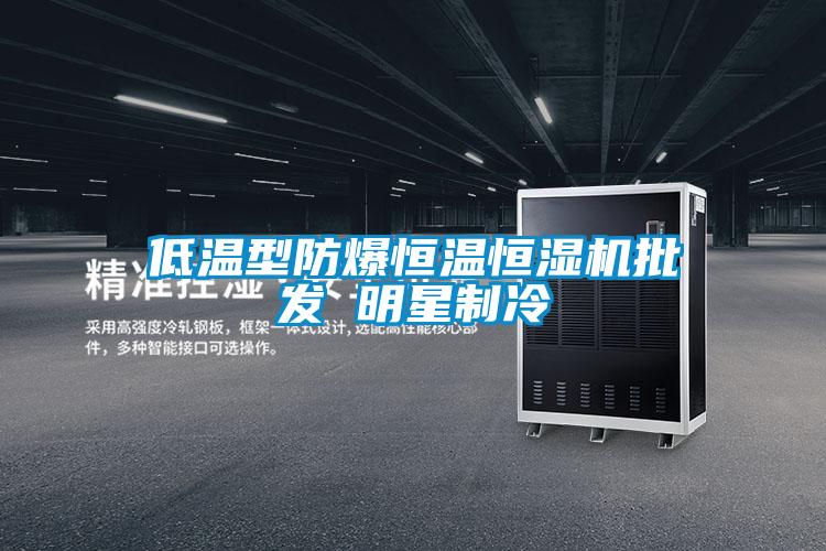低溫型防爆恒溫恒濕機(jī)批發(fā) 明星制冷