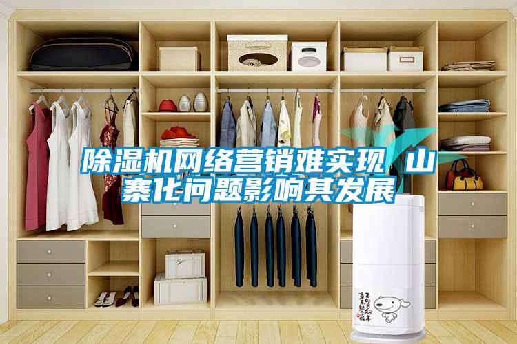 除濕機(jī)網(wǎng)絡(luò)營(yíng)銷(xiāo)難實(shí)現(xiàn) 山寨化問(wèn)題影響其發(fā)展