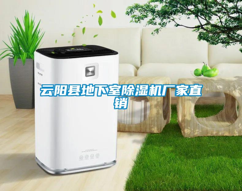 云陽縣地下室除濕機(jī)廠家直銷