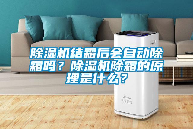 除濕機(jī)結(jié)霜后會(huì)自動(dòng)除霜嗎？除濕機(jī)除霜的原理是什么？