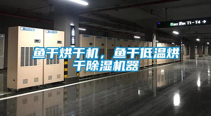 魚干烘干機(jī)，魚干低溫烘干除濕機(jī)器