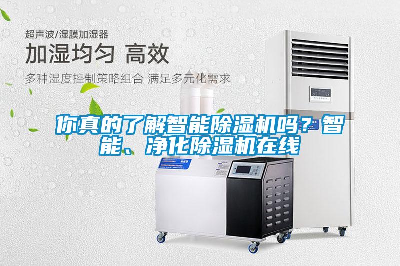 你真的了解智能除濕機嗎？智能、凈化除濕機在線
