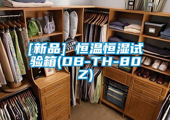 [新品] 恒溫恒濕試驗(yàn)箱(DB-TH-80Z)
