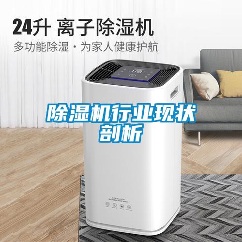 除濕機(jī)行業(yè)現(xiàn)狀剖析