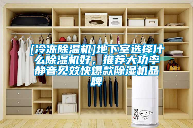 [冷凍除濕機]地下室選擇什么除濕機好，推薦大功率靜音見效快爆款除濕機品牌