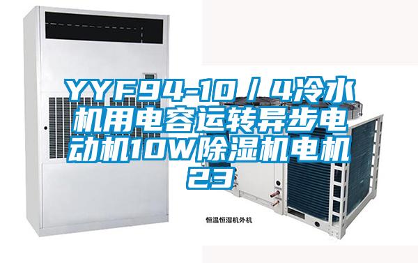 YYF94-10／4冷水機(jī)用電容運(yùn)轉(zhuǎn)異步電動(dòng)機(jī)10W除濕機(jī)電機(jī)23