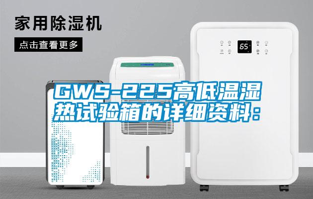 GWS-225高低溫濕熱試驗箱的詳細(xì)資料：