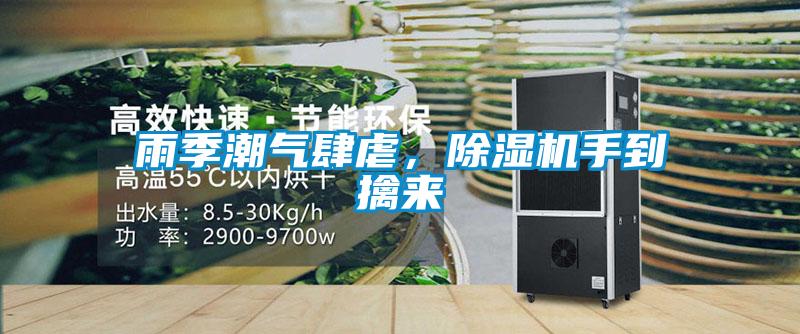 雨季潮氣肆虐，除濕機(jī)手到擒來