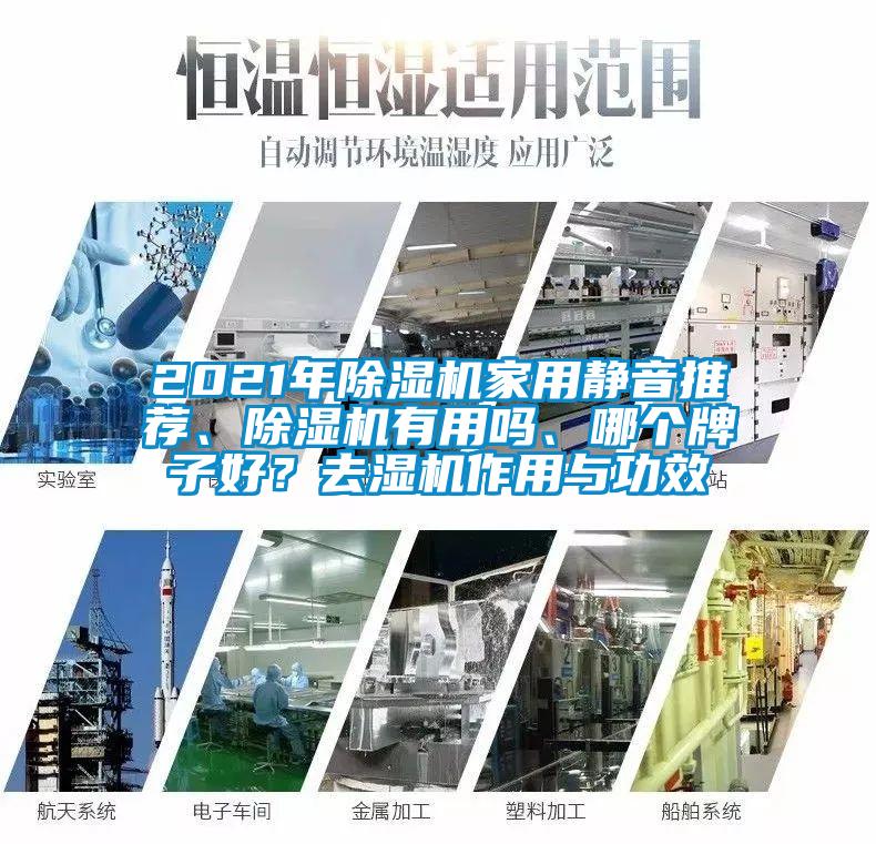 2021年除濕機家用靜音推薦、除濕機有用嗎、哪個牌子好？去濕機作用與功效