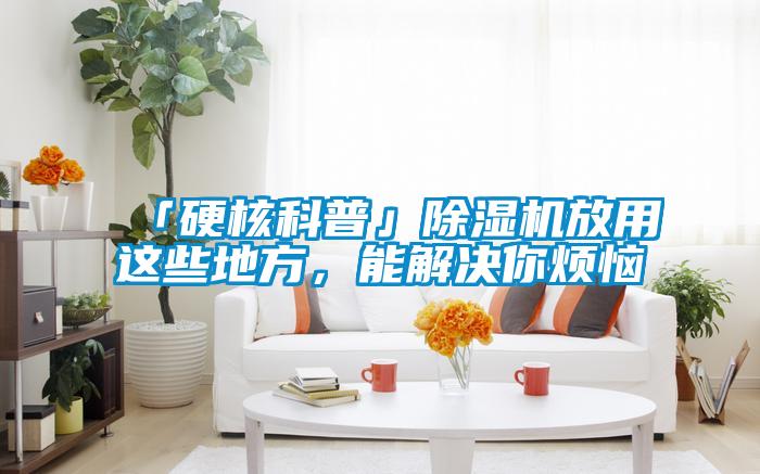 「硬核科普」除濕機(jī)放用這些地方，能解決你煩惱