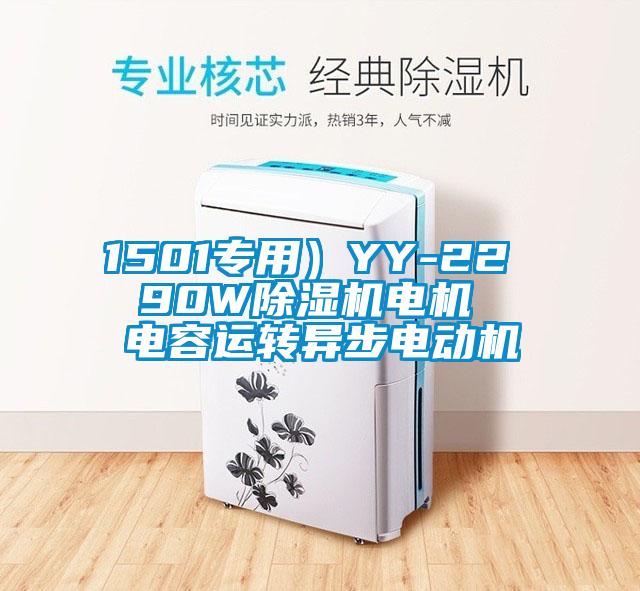 1501專用）YY-22  90W除濕機(jī)電機(jī)  電容運(yùn)轉(zhuǎn)異步電動(dòng)機(jī)