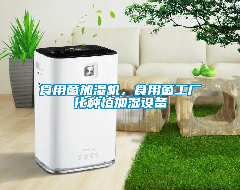 食用菌加濕機，食用菌工廠化種植加濕設備