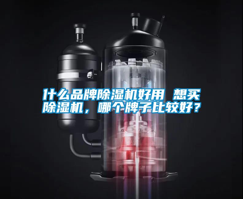 什么品牌除濕機(jī)好用 想買(mǎi)除濕機(jī)，哪個(gè)牌子比較好？