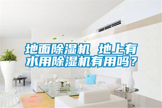地面除濕機 地上有水用除濕機有用嗎？