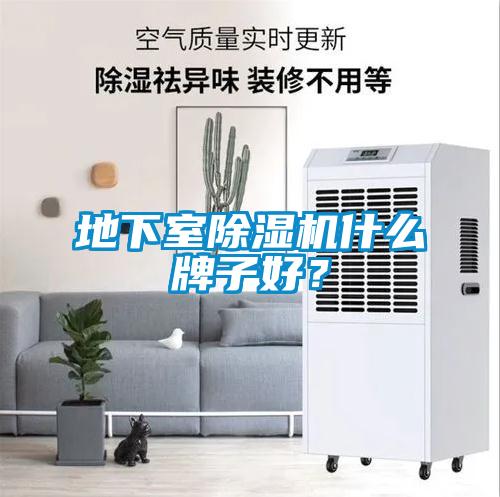 地下室除濕機什么牌子好？