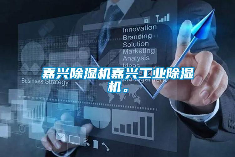 嘉興除濕機嘉興工業除濕機。