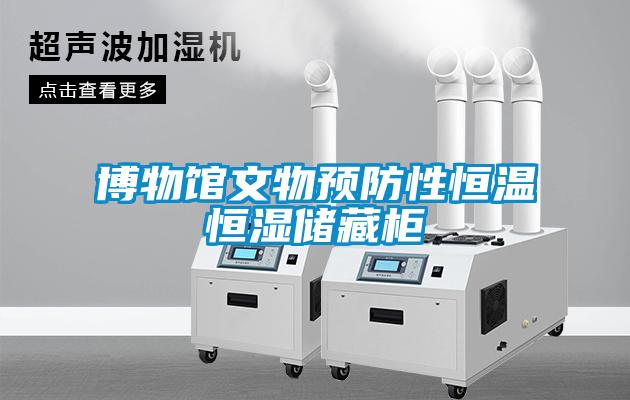 博物館文物預(yù)防性恒溫恒濕儲藏柜