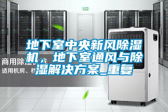 地下室中央新風除濕機，地下室通風與除濕解決方案_重復(fù)