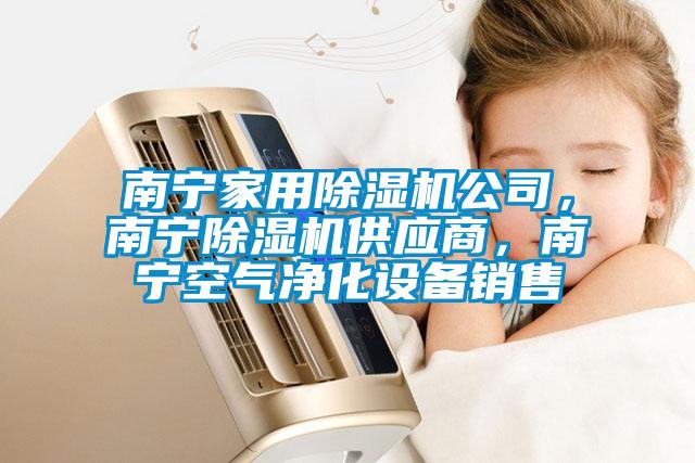 南寧家用除濕機(jī)公司，南寧除濕機(jī)供應(yīng)商，南寧空氣凈化設(shè)備銷售