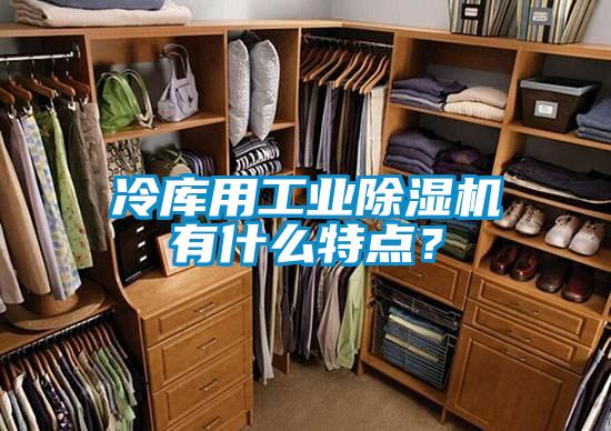 冷庫用工業(yè)除濕機(jī)有什么特點(diǎn)？