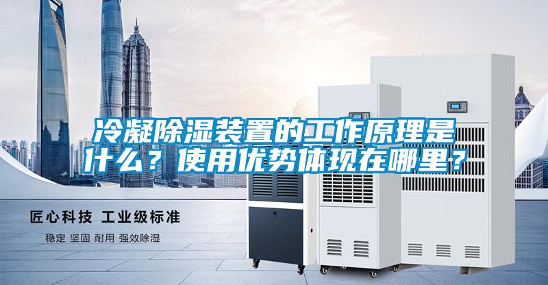 冷凝除濕裝置的工作原理是什么？使用優勢體現在哪里？