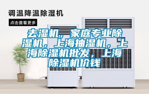 去濕機，家庭專業除濕機，上海抽濕機，上海除濕機批發，上海除濕機價錢