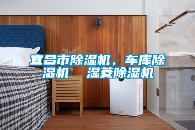 宜昌市除濕機(jī)，車庫除濕機(jī)  濕菱除濕機(jī)