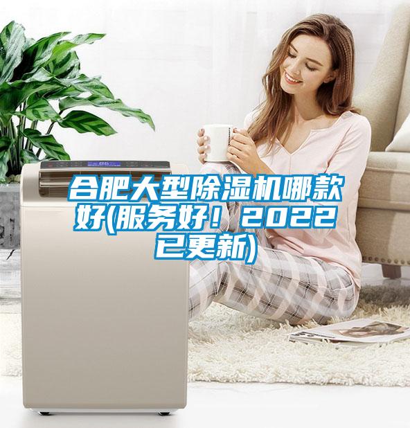 合肥大型除濕機哪款好(服務(wù)好！2022已更新)