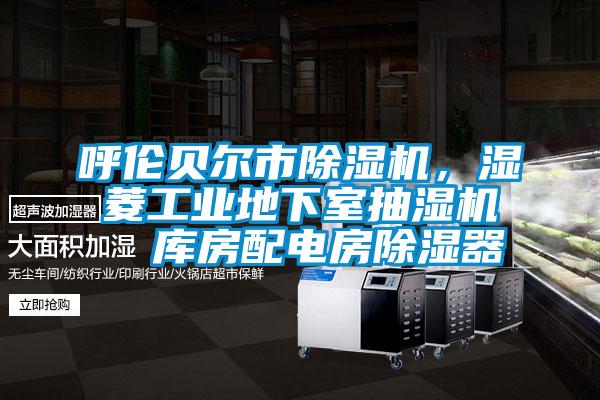呼倫貝爾市除濕機，濕菱工業地下室抽濕機  庫房配電房除濕器