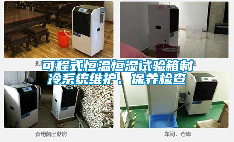 可程式恒溫恒濕試驗(yàn)箱制冷系統(tǒng)維護(hù)、保養(yǎng)檢查