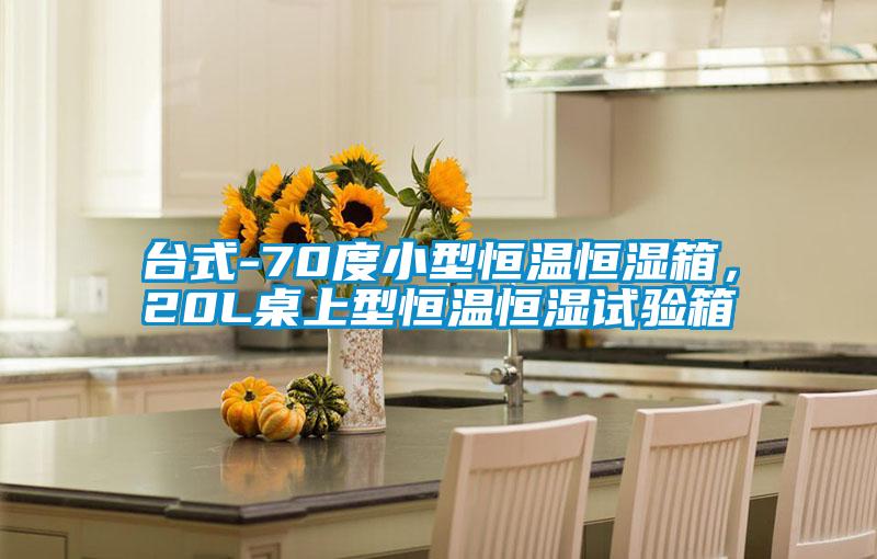 臺式-70度小型恒溫恒濕箱，20L桌上型恒溫恒濕試驗箱