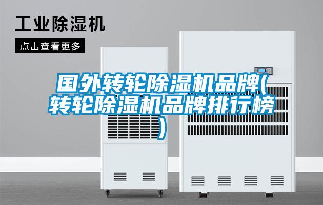 國外轉(zhuǎn)輪除濕機(jī)品牌(轉(zhuǎn)輪除濕機(jī)品牌排行榜)