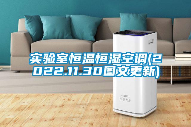 實(shí)驗(yàn)室恒溫恒濕空調(diào)(2022.11.30圖文更新)