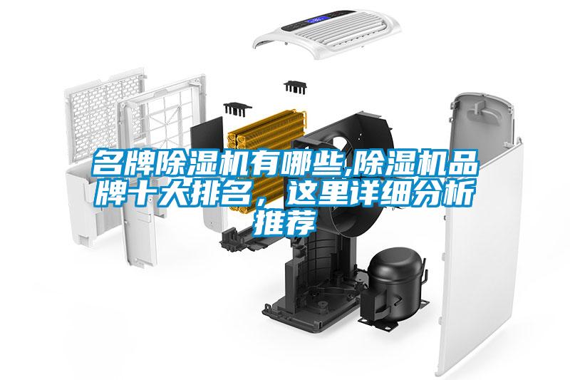 名牌除濕機(jī)有哪些,除濕機(jī)品牌十大排名，這里詳細(xì)分析推薦