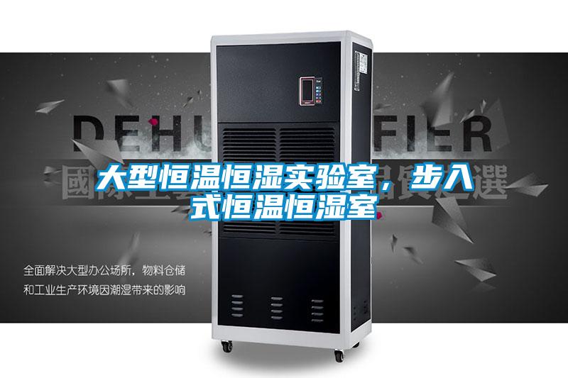 大型恒溫恒濕實(shí)驗(yàn)室，步入式恒溫恒濕室