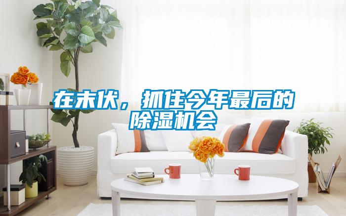 在末伏，抓住今年最后的除濕機(jī)會(huì)