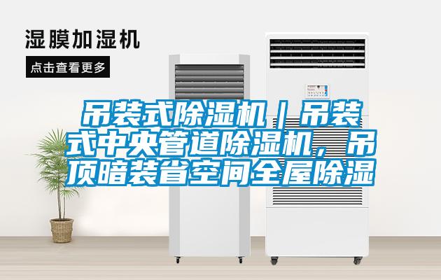 吊裝式除濕機｜吊裝式中央管道除濕機，吊頂暗裝省空間全屋除濕