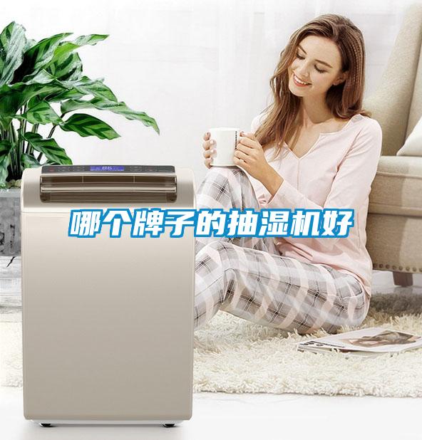 哪個(gè)牌子的抽濕機(jī)好