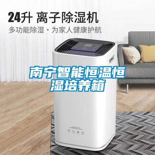 南寧智能恒溫恒濕培養(yǎng)箱